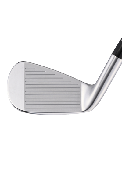 Epon AF-307 iron detail photo
